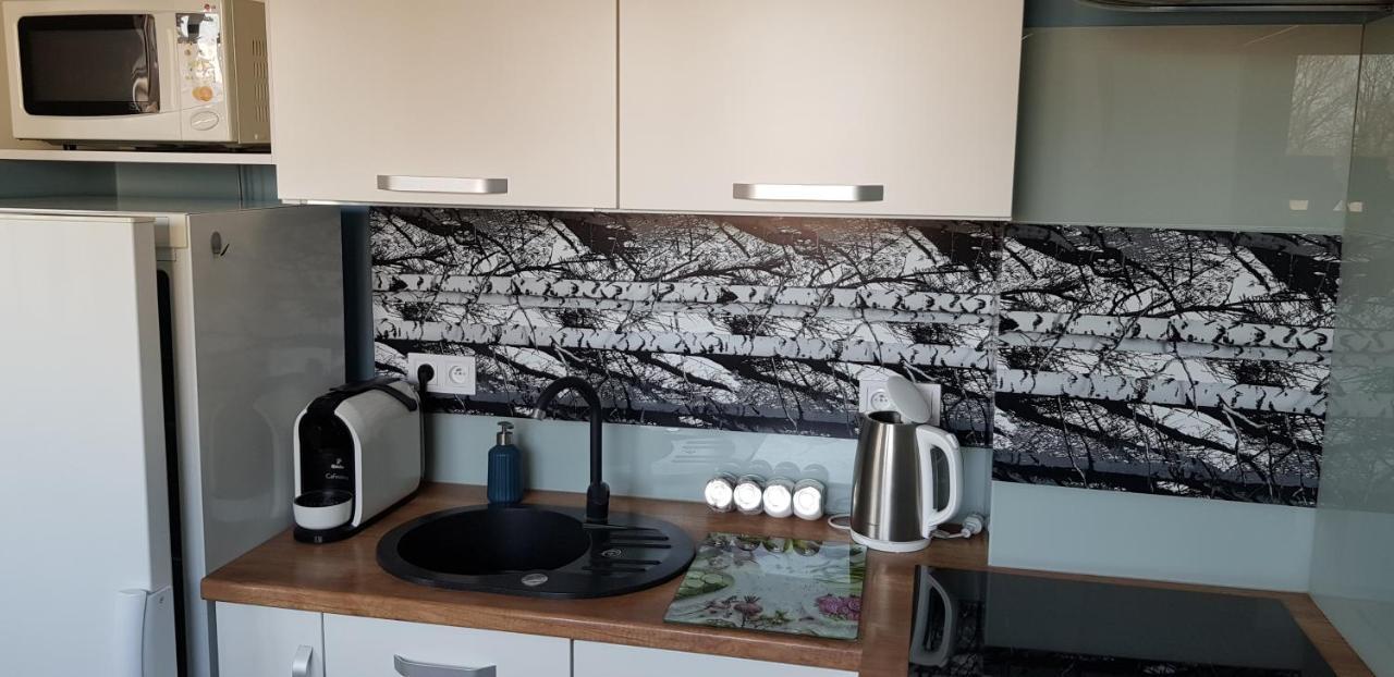 צ'סטוצ'ובה Apartament Centrum מראה חיצוני תמונה